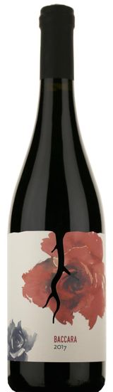 Magula Baccara 2017 