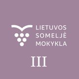 Someljė studijos. Trečias semestras