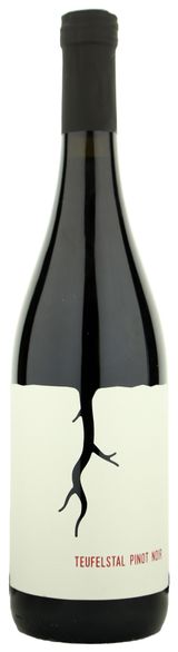 Magula Teufelstal Pinot Noir 2021 
