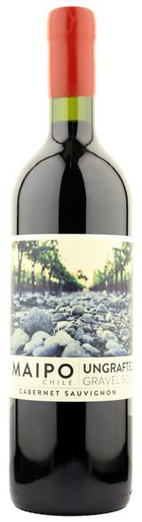 De Martino Ungrafted Cabernet Sauvignon Maipo Valley 2023 
