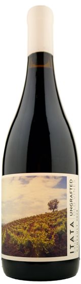 De Martino Ungrafted Cinsault Itata Valley 2024