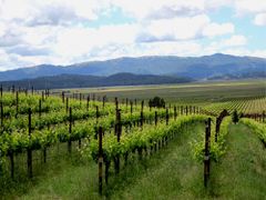 Domaine Sébastien Riffault