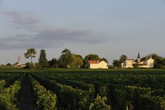 Château Latour à Pomerol