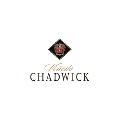Viñedo Chadwick