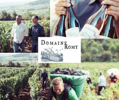 Domaine Romy