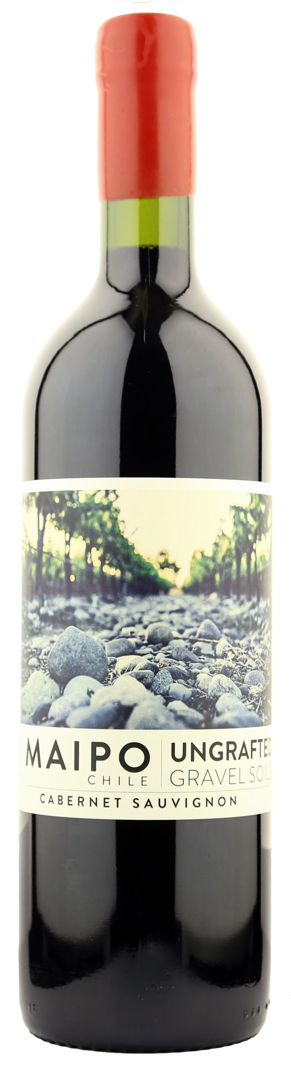 De Martino Ungrafted Cabernet Sauvignon Maipo Valley 2023 