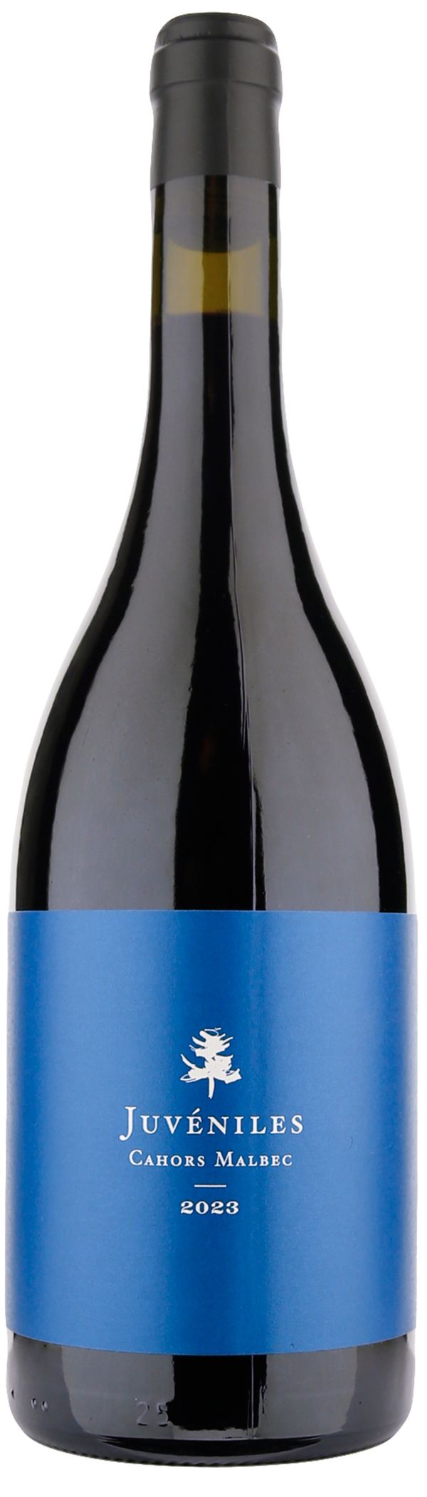 Chateau du Cedre Cahors Juveniles 2023